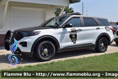 Ford Explorer
United States of America - Stati Uniti d'America
Illinois State Police
