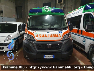 Fiat Ducato X290 Restyle
Croce Verde Pavese
Ambulanza A/16
Allestimento Olmedo
Parole chiave: Croce Verde Pavese Pavia