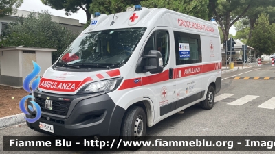 Fiat Ducato X290
Croce Rossa Italiana 
Comitato di Santa Severa - Santa Marinella
Allestimento Orion
Codice Ares 118: 1145
CRI 355 AI
Parole chiave: fiat ducato_X290_ambulanza_CRI355AI_