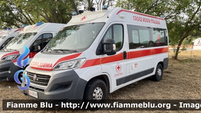 Fiat Ducato X290
Croce Rossa Italiana 
Comitato di Santa Severa - Santa Marinella 
Allestimento MAF
CRI 430 AF
Parole chiave: fiat ducato_x290 cri430af ambulanza