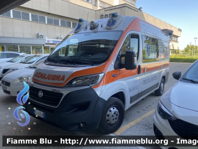 Fiat Ducato X290
Soccorso Emergenza Radio Abruzzo (SER)
Ambulanza
Allestita da Orion Veicoli Speciali
Parole chiave: Fiat Ducato_X290 Ambulanza