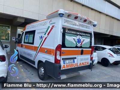 Fiat Ducato X290
Soccorso Emergenza Radio Abruzzo (SER)
Ambulanza
Allestita da Orion Veicoli Speciali
Parole chiave: Fiat Ducato_X290 Ambulanza