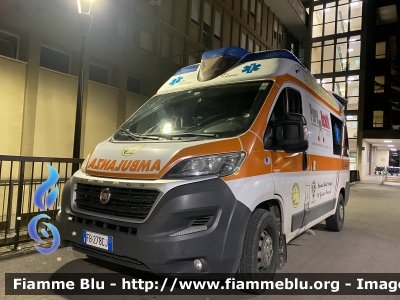 Fiat Ducato X290
P.A. Croce Gialla Vomano (TE)
Ambulanza
Allestita da Orion Veicoli Speciali
Codice automezzo: 05
Parole chiave: Fiat Ducato_X290