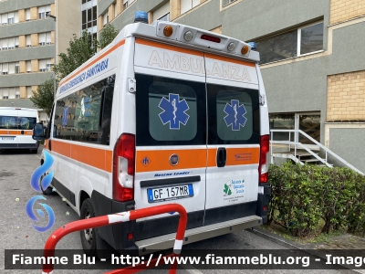 Fiat Ducato X290
Azienda Sanitaria Locale 1
Avezzano, Sulmona, L'Aquila
118 Abruzzo Soccorso
Ambulanza 
Allestita da Mariani Fratelli
Parole chiave: Fiat Ducato_X290