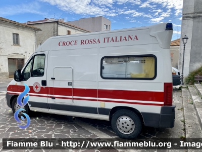 Fiat Ducato III serie
Croce Rossa Italiana
Comitato di Giulianova
Unità Territoriale di Corropoli
Ambulanza
Allestita da Corbicar
CRI A713A
Parole chiave: Fiat Ducato_IIIserie CRIA713A