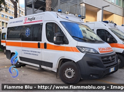 Fiat Ducato X290
Regione Puglia
Protezione Civile
Colonna Mobile Regionale
Allestimento MAF
Parole chiave: Fiat Ducato_X290 Ambulanza