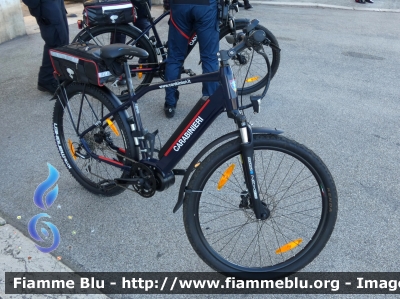 Bicicletta
Carabinieri
Comando Carabinieri Unità per la tutela Forestale, Ambientale e Agroalimentare
Parole chiave: Bicicletta