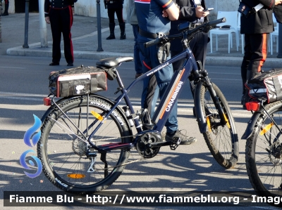 Bicicletta
Carabinieri
Comando Carabinieri Unità per la tutela Forestale, Ambientale e Agroalimentare
Parole chiave: Bicicletta