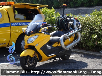 Suzuki Burgman 650
G.S.A. - Servizio Antincendio
In servizio sull’autostrada E55
Parole chiave: Suzuki Burgman_650