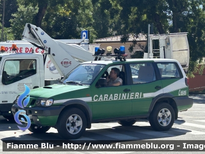 Carabinieri
Unità per la tutela Forestale, Ambientale e Agroalimentare
CC DN 591
Parole chiave: Nissan_Terrano CCDN591