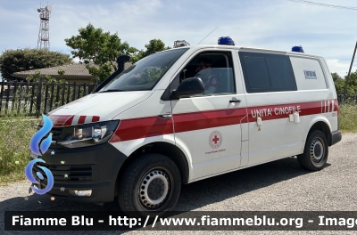 Volkswagen Transporter T6 4motion
Croce Rossa Italiana 
Unità Cinofile
CRI 303 AG
Parole chiave: Volkswagen Transporter_T6 CRI303AG